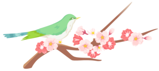 8D932157-B98A-4D6C-A993-277BF9BB52F9.png